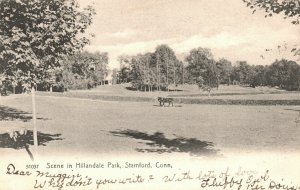 Vintage Postcard 1907  Scene in Hillandale Park Stamford Connecticut CT