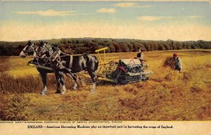Horse Team Thresher International Harvester England UK advertising postcard