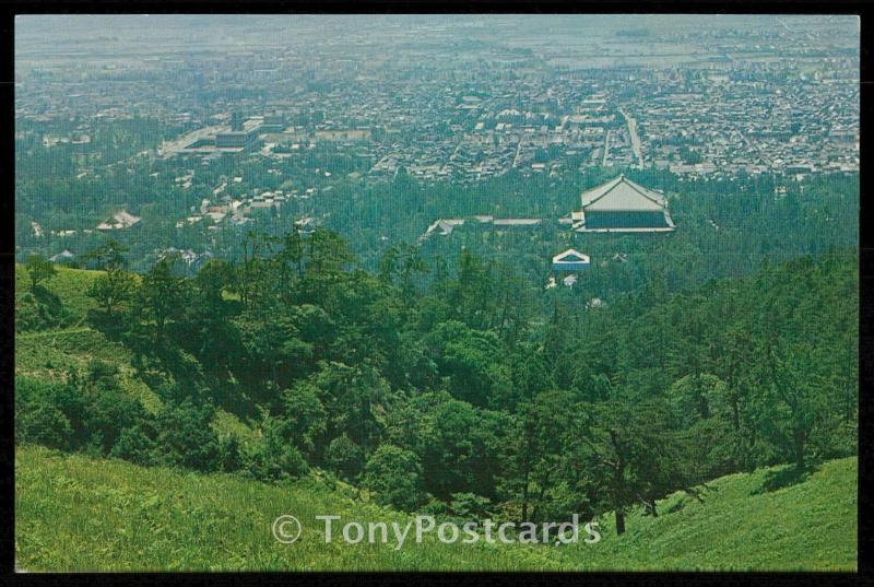 Distant View of Todaiji Temple