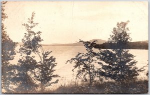 Plant Trees, River View, Waterfront, Black & White, Nature, Vintage Postcard