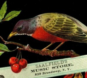 1880s Saafield's Music Store Beautiful Colorful Wild Birds Image Lot Of 4 P213