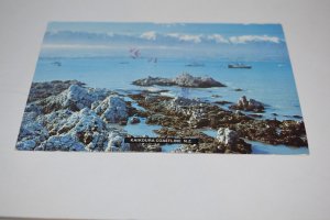 Kaikoura Coastline New Zealand Postcard P1616