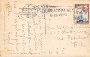 A Country Road in Bermuda Bermuda Postcard