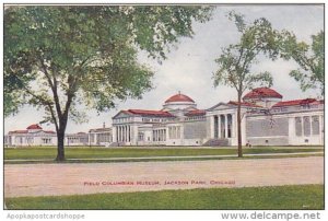 Illinois Chicago Field Columbian Museum Jackson Park 1909