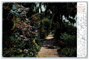 1907 Magnolia Gardens Trees Flowers Scene Charleston South Carolina SC Postcard