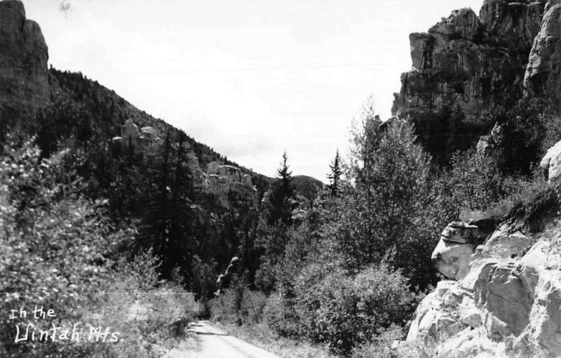 Uintah Mountains Scenic View Real Photo Vintage Postcard JF686622