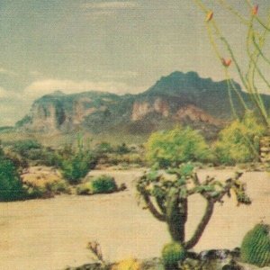 USA Superstition Mountain Arizona Linen Postcard 07.63