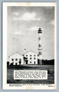 HYDE COUNTY NC MATTAMUSKEET LIGHTHOUSE VINTAGE POSTCARD