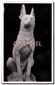 Old Postcard Dog Limestone Traces Of Polychromie Primitive Dynasty Egypt Egypt