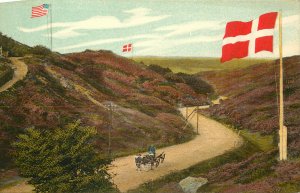 Postcard Flags of Denmark Along a Road American Flag Top of Hill Raebild Bakker