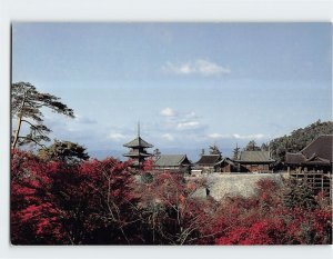 Postcard Kiyomizudera Temple With Autumn Tinted Maple Trees, Kyoto, Japan