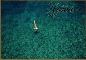 Hawaii Catamaran Drifting Over A Coral Reef