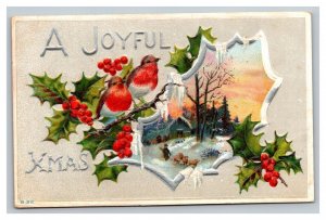 Vintage 1910's Christmas Postcard Beautiful Red Birds Mistletoe Holly Berries