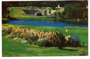 Flowers, Amphitheatre, Fundy National Park, New Brunswick