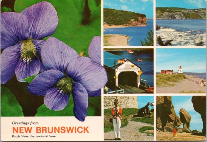 New Brunswick NB Multiview Unused Vintage Postcard D43