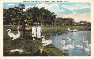 BELMAR, New Jersey NJ   Feeding SWANS At SILVER LAKE  Monmouth Co  1931 Postcard