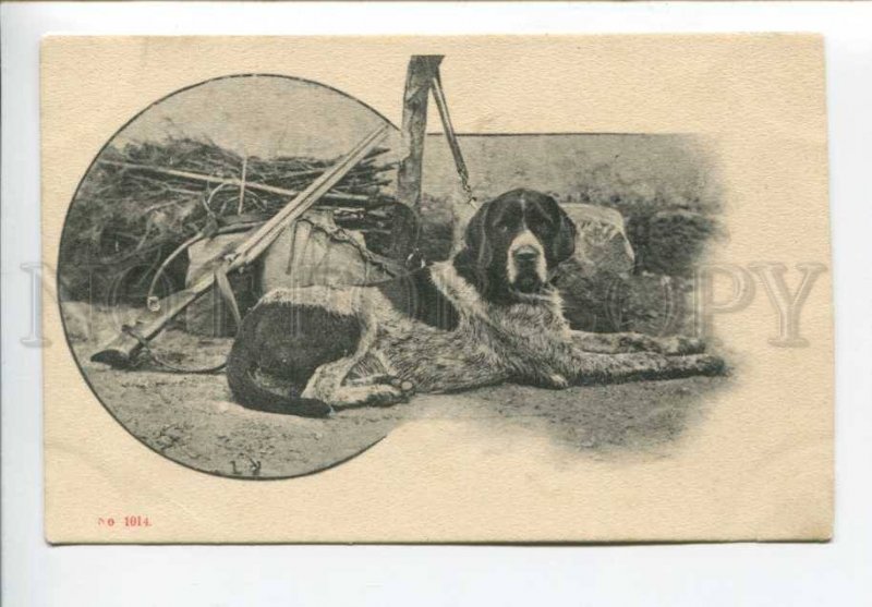 423549 ART NOUVEAU Hunting Dog POINTER Hunt Vintage postcard