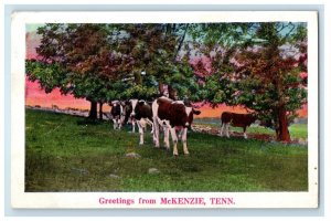 1937 Greetings From McKenzie Tennessee TN, Cows Posted Vintage Postcard