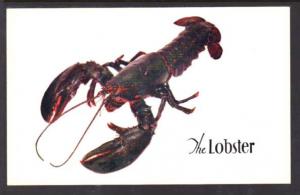 The Lobster Restaurant New York NY Postcard 5746