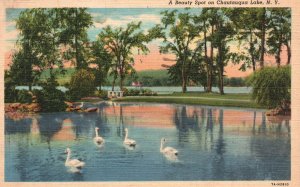 Vintage Postcard 1944 A Beauty Spot Lake Trees Ducks Chautauqua Lake New York