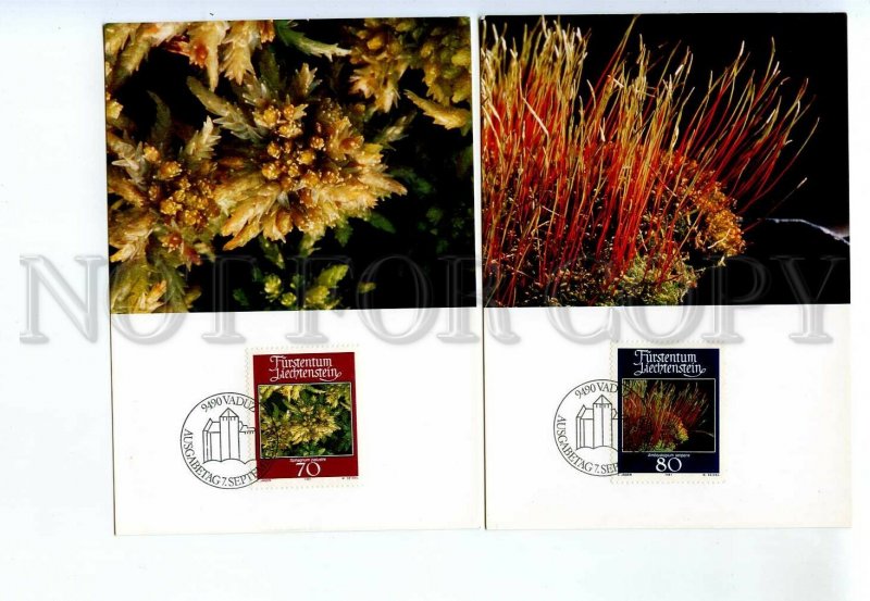 440810 Liechtenstein 1981 year set of First Day maximum cards mosses and lichens