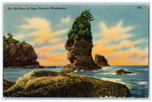 1947 Old Man Cape Exterior View Beach Coast Flattery Washington Vintage Postcard