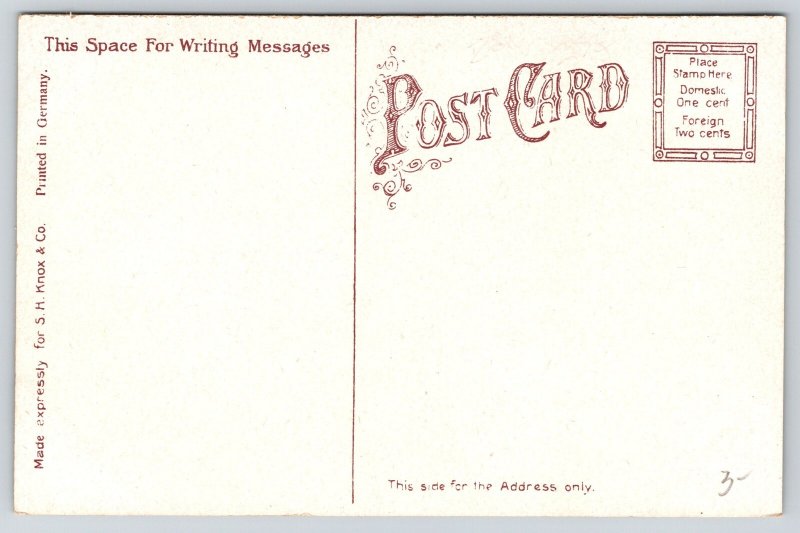 Muncie Indiana~Beech Grove Cemetery Entrance~Road~Stone Wall~c1910 Postcard