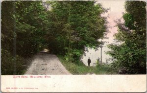 Michigan Negaunee Cliffs Road 1907