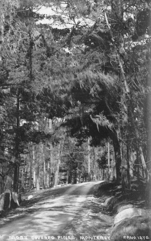 RPPC Moss Covered Pines MONTEREY, CA Pillsbury Photo 1270 1910s Vintage Postcard