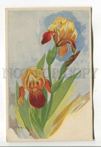 485241 Blooming orchid by MAASIA vintage Finland postcard