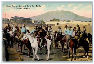c1910 Horse Riding Steer Roping Contest Cow Boy Park C. Juarez Mexico Postcard
