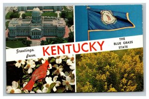 Vintage 1960's Postcard Greetings From Kentucky - Red Cardinal Blue Grass Flag