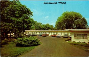 Windewald Motel Martinsburg West Virginia c1960s Vintage Postcard Retro Cars