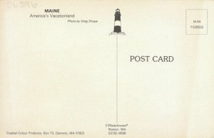 America Postcard - Maine - America´s Vacationland - Ref TZ3198