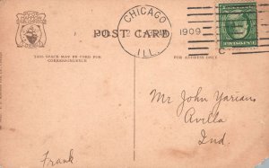 Vintage Postcard 1909 Spring Time Douglas Park Along The Lake Chicago Illinois