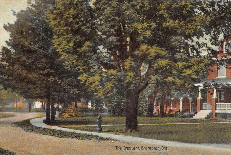 Brampton Ontario Canada Crescent Street View Antique Postcard K99034