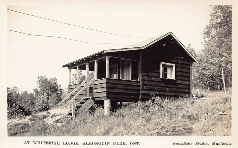 LPD11  Whitefish Lodge Algonquin Park  Ontario Canada  RPPC Postcard