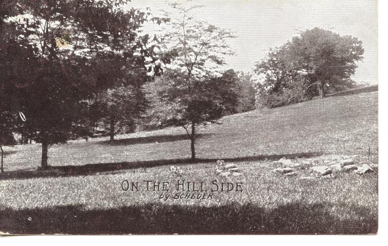 US    PC1069  ON THE HILLSIDE