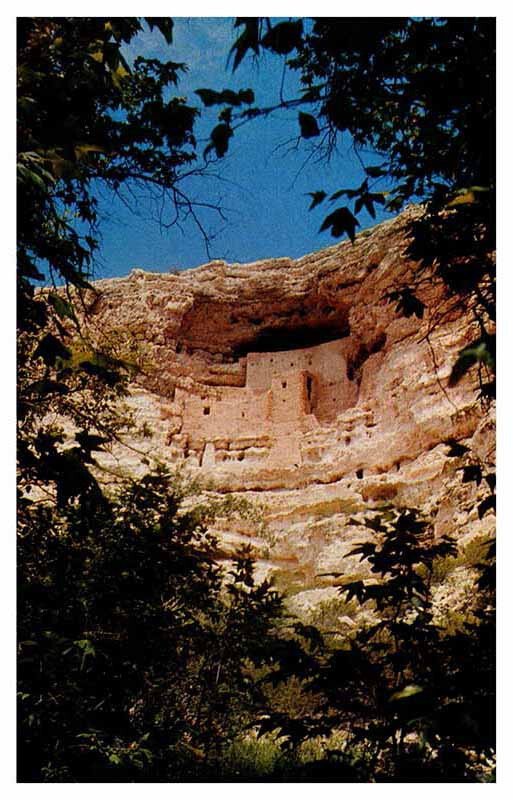 Postcard NATURE SCENE Flagstaff Arizona AZ AS7816