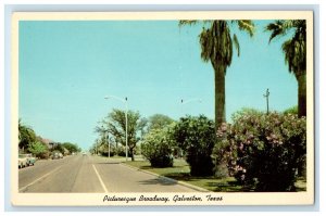 A View Of Picturesque Broadway Road Car Galveston Texas TX Vintage Postcard