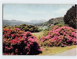 Postcard The Sleeping Lady, Beddgelert, Wales