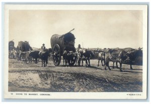 c1940's Animal Carriage Going to Market Cordoba Argentina RPPC Photo Postcard