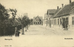 denmark, NØRREGADE, Kerteminde, Street Scene (1900s) Postcard