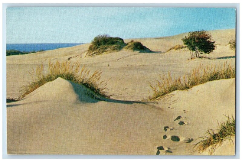 c1950's View Of Michigan's Silver Lake And Sand Dunes MI Vintage Postcard 