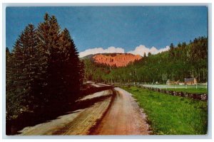 Cedar Utah UT Postcard Cedar Canyon Modern Paved Highway Trees Scene c1960's