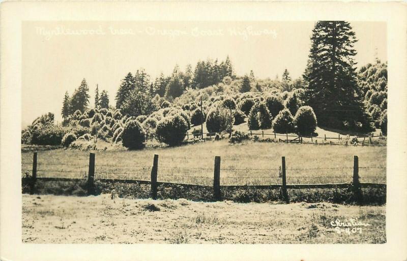 United States real photo postcard Mintlewood trees Oregon Coast Highway