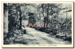 Old Postcard Paimpont Forest High Allee Prinpale