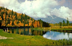 Canada British Columbia Fraser Valley The Vedder River