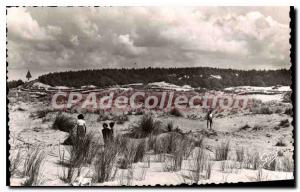 Postcard Old Quend Plage Les Dunes and Le Bois de Pins