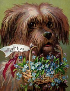 STIEFF PIANOS BALTIMORE MD*H I SHANK*HARRISBURG PA*SCRUFFY DOG BASKET OF FLOWERS